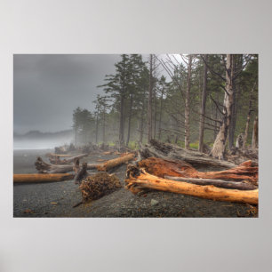 USA, Washington, Olympic National Park, Rialto Poster