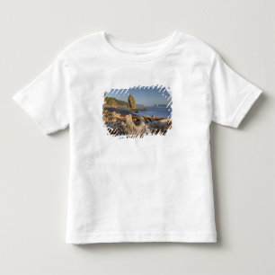 USA, Washington, Olympic National Park, Rialto T Shirt