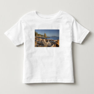 USA, Washington, Olympic National Park, Rialto Tee