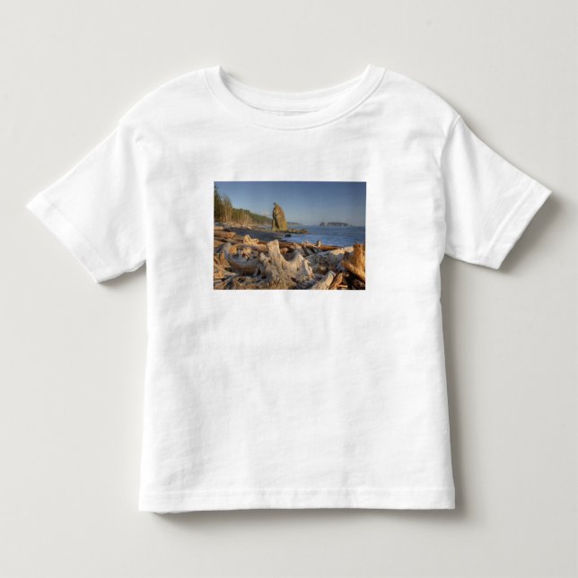 USA, Washington, Olympic National Park, Rialto Tee (Framsida)