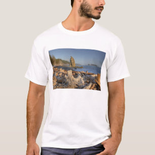 USA, Washington, Olympic National Park, Rialto Tee