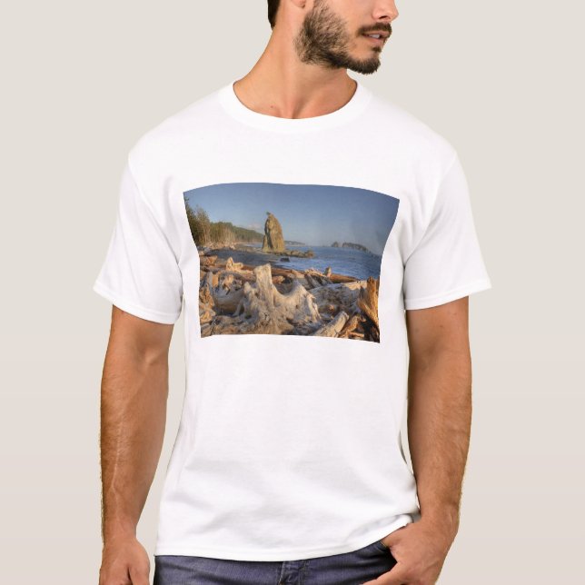USA, Washington, Olympic National Park, Rialto Tee (Framsida)
