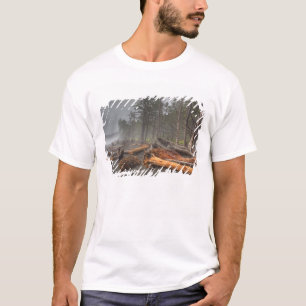 USA, Washington, Olympic National Park, Rialto Tee Shirt