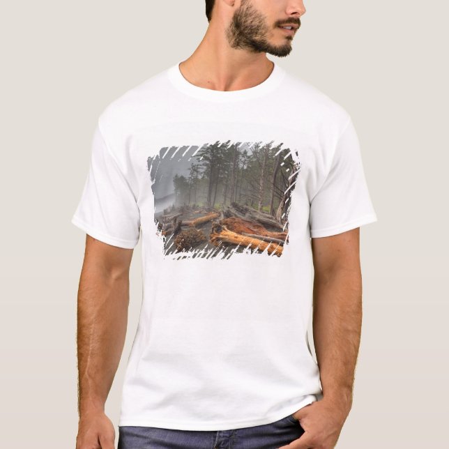 USA, Washington, Olympic National Park, Rialto Tee Shirt (Framsida)