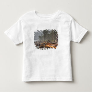 USA, Washington, Olympic National Park, Rialto Tee Shirt