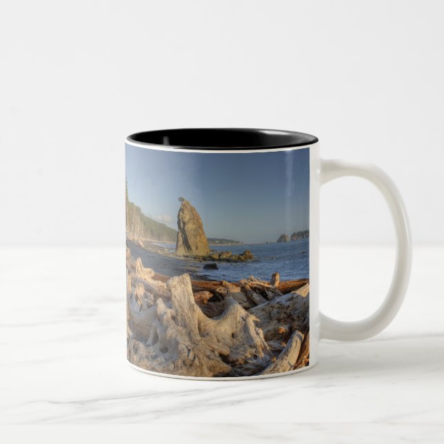 USA, Washington, Olympic National Park, Rialto Två-Tonad Mugg (Höger)