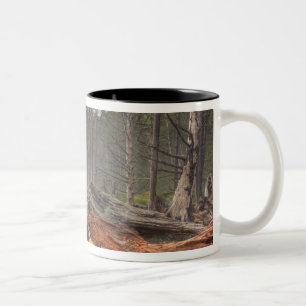 USA, Washington, Olympic National Park, Rialto Två-Tonad Mugg