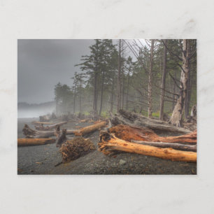 USA, Washington, Olympic National Park, Rialto Vykort