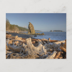 USA, Washington, Olympic National Park, Rialto Vykort