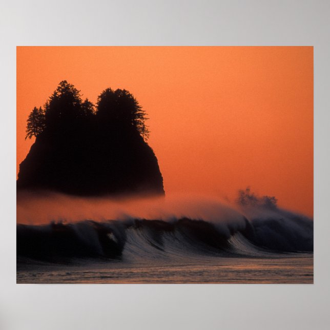 USA, Washington, Olympic National Park, Sea Poster (Framsidan)