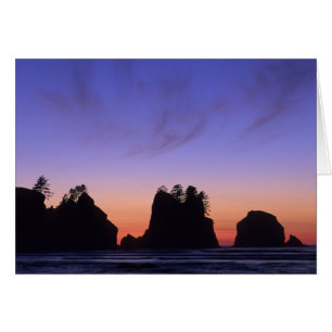 USA, Washington, Olympic National Park, Shi-shi Hälsningskort