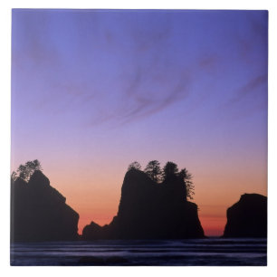 USA, Washington, Olympic National Park, Shi-shi Kakelplatta