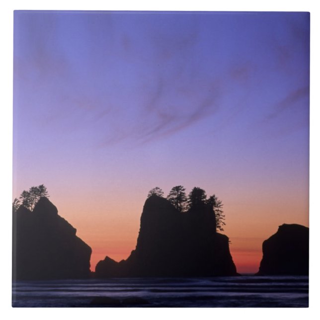 USA, Washington, Olympic National Park, Shi-shi Kakelplatta (Framsidan)