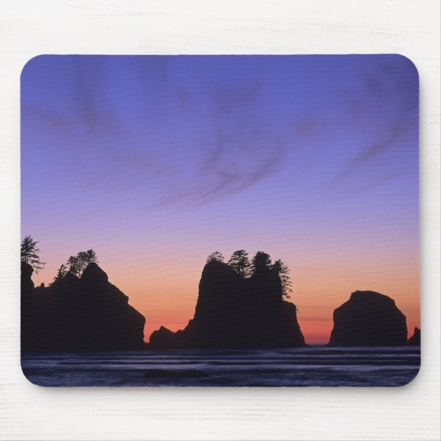 USA, Washington, Olympic National Park, Shi-shi Musmatta (Framsidan)
