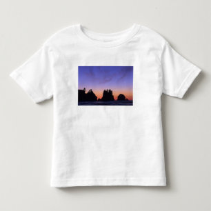 USA, Washington, Olympic National Park, Shi-shi T-shirt