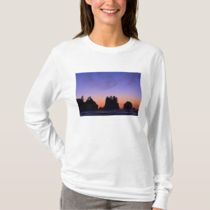 USA, Washington, Olympic National Park, Shi-shi Tee