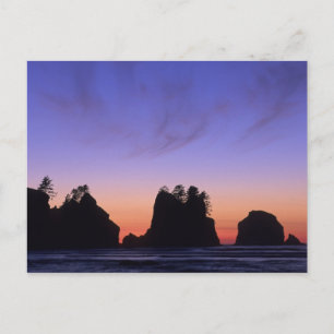 USA, Washington, Olympic National Park, Shi-shi Vykort