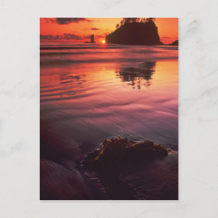 USA, Washington, Olympic National Park. Solnedgång Vykort