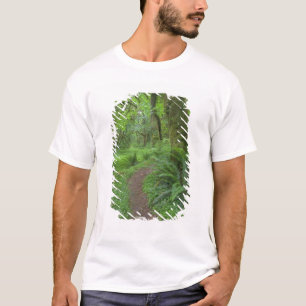 USA, Washington, Olympic National Park, Tee