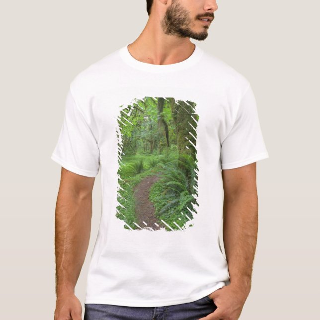 USA, Washington, Olympic National Park, Tee (Framsida)