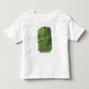 USA, Washington, Olympic National Park, Tee