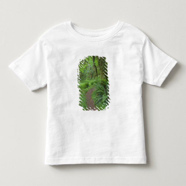 USA, Washington, Olympic National Park, Tee (Framsida)