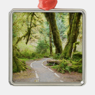 USA, Washington, Olympic National Park, Vandring Julgransprydnad Metall
