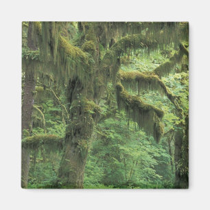 USA, Washington, Olympic nationalpark. Magnet