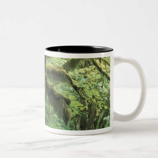 USA, Washington, Olympic nationalpark. Två-Tonad Mugg (Höger)