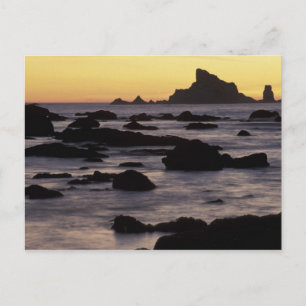 USA, Washington, Olympic Nat'l Park, Havsstackar Vykort