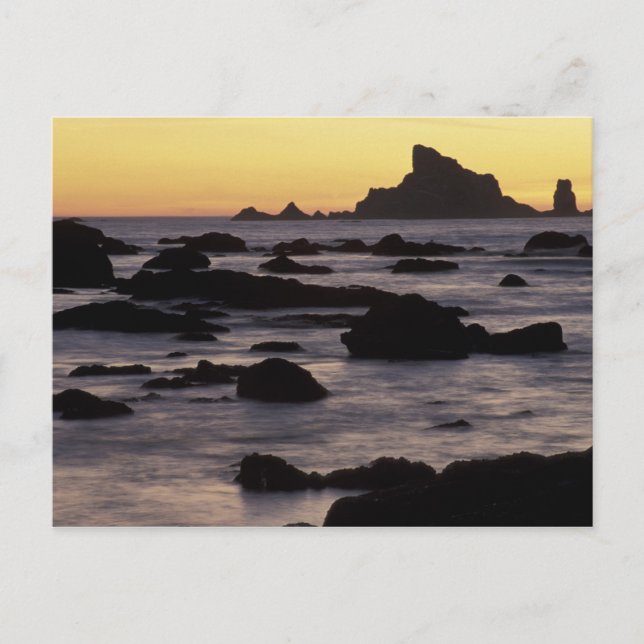 USA, Washington, Olympic Nat'l Park, Havsstackar Vykort (Framsida)