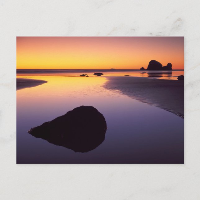 USA, Washington, Olympiska Peninsulan Vykort (Framsida)