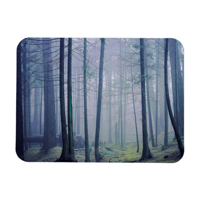 USA, Washington, Orcas Island, Moran State Park Magnet (Horisontell)