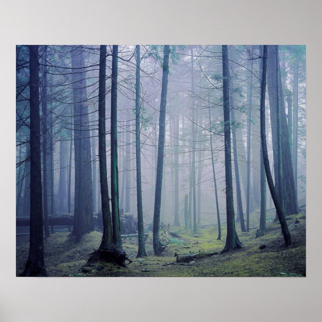 USA, Washington, Orcas Island, Moran State Park Poster (Framsidan)