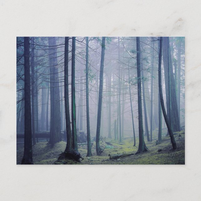 USA, Washington, Orcas Island, Moran State Park Vykort (Framsida)