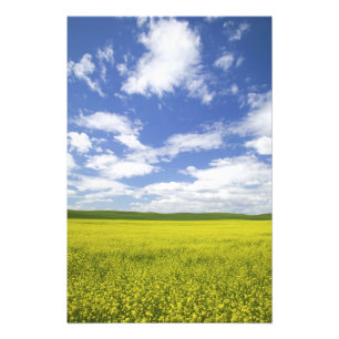 USA, Washington, Palouse Country, Blommande Fototryck
