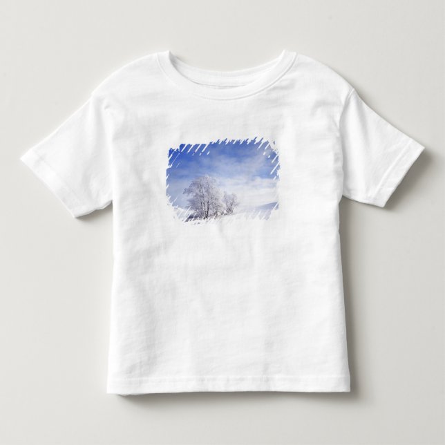USA, Washington, Palouse-området, Frostad svart Tee (Framsida)