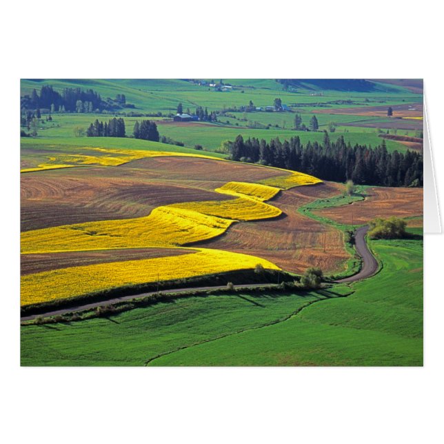 USA, Washington, Palouse, Whitman County 2 Hälsningskort (Framsidan Horizontal)