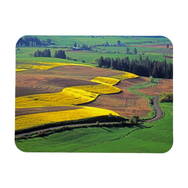 USA, Washington, Palouse, Whitman County 2 Magnet (Horisontell)