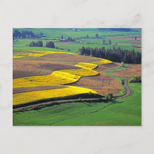USA, Washington, Palouse, Whitman County 2 Vykort
