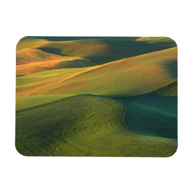 USA, Washington, Palouse, Whitman County Magnet (Horisontell)