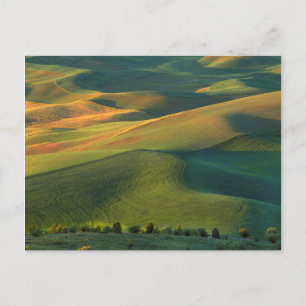 USA, Washington, Palouse, Whitman County Vykort