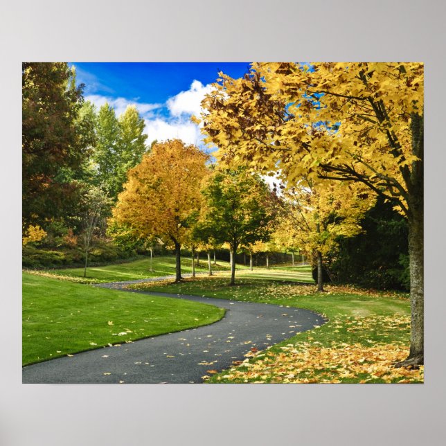 USA, Washington Poster (Framsidan)