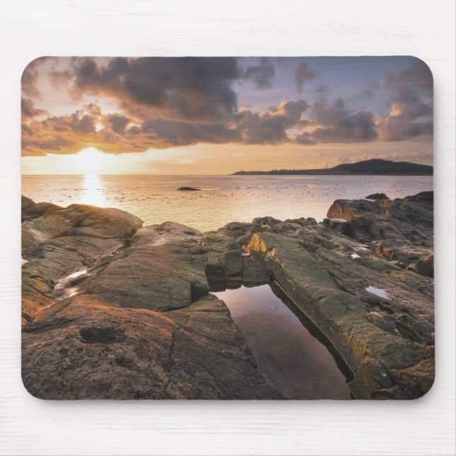 USA, Washington, San Juan Islands.  En dramatisk 2 Musmatta (Framsidan)