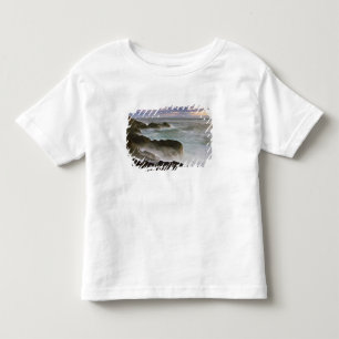 USA, Washington, San Juan Islands. Vågor kraschar Tee