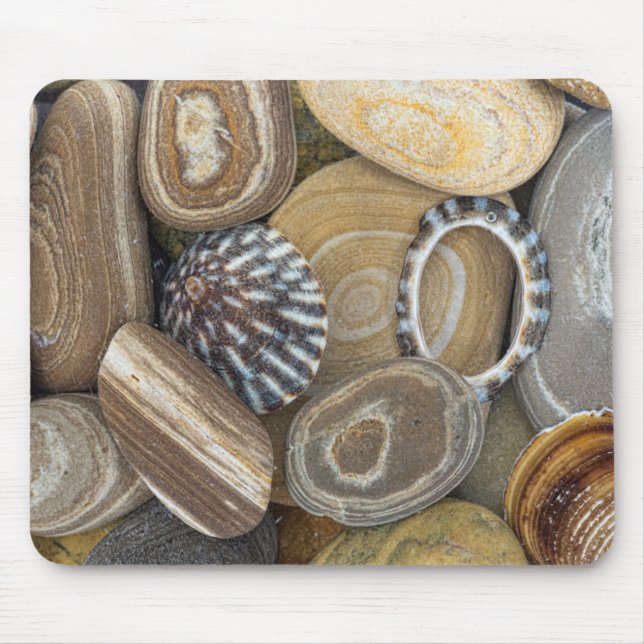 USA, Washington, Seabeck. Stängning av båge Musmatta (Framsidan)