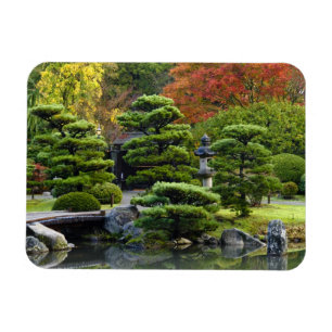 USA, Washington, Seattle, Arboretum, Japansk Magnet