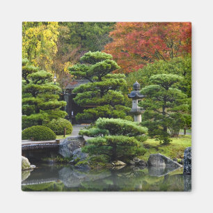 USA, Washington, Seattle, Arboretum, Japansk Magnet