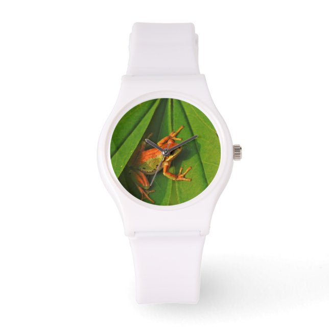 USA, Washington, Seattle, Discovery Park 2 Armbandsur (Framsida)