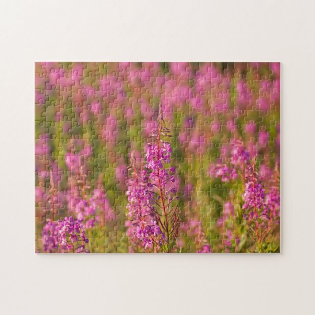 USA, Washington, Seattle, Discovery Park 3 Pussel (Horisontell)